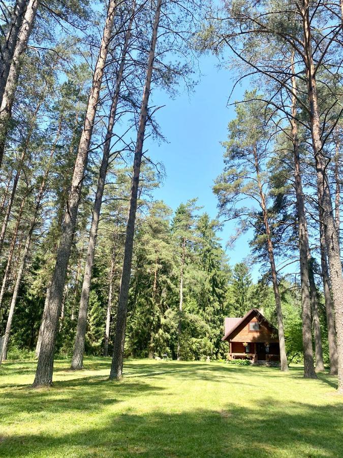 Rojaus Slenis Villa Druskininkai Bagian luar foto