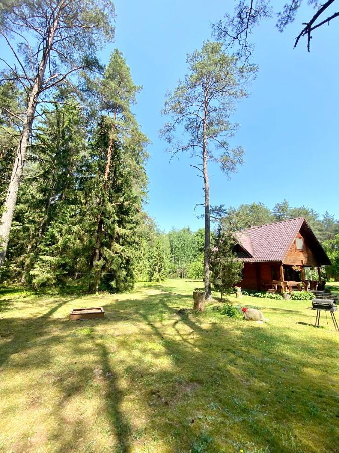 Rojaus Slenis Villa Druskininkai Bagian luar foto