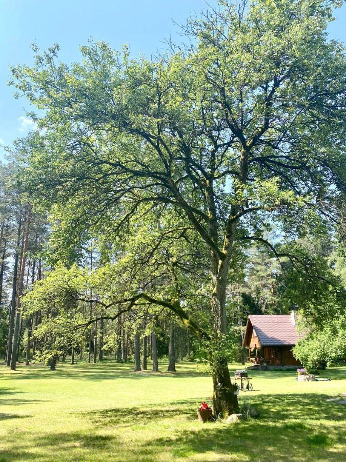 Rojaus Slenis Villa Druskininkai Bagian luar foto