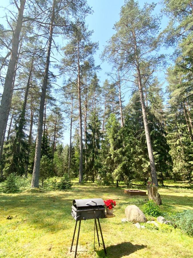 Rojaus Slenis Villa Druskininkai Bagian luar foto