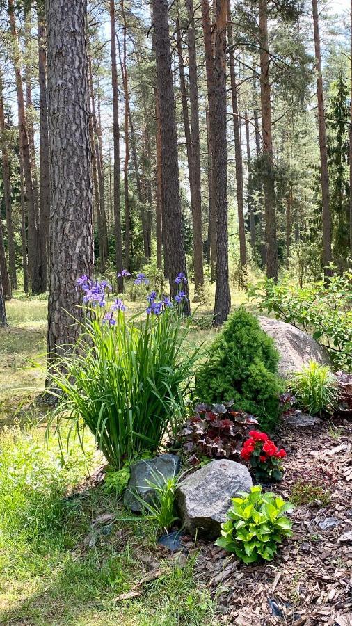 Rojaus Slenis Villa Druskininkai Bagian luar foto