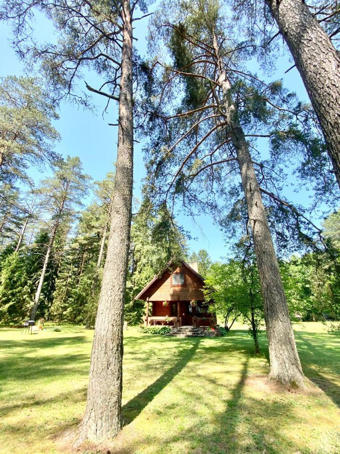 Rojaus Slenis Villa Druskininkai Bagian luar foto