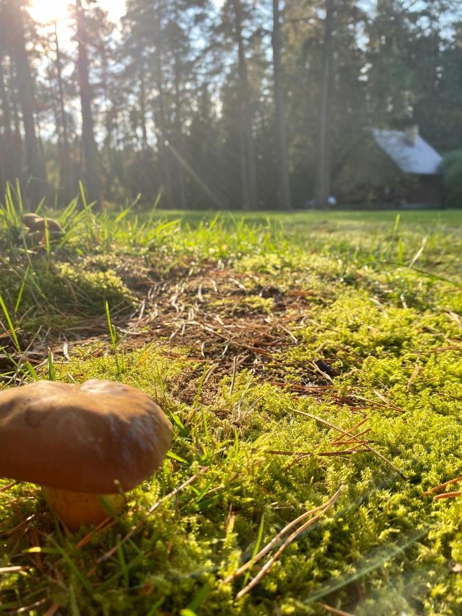 Rojaus Slenis Villa Druskininkai Bagian luar foto