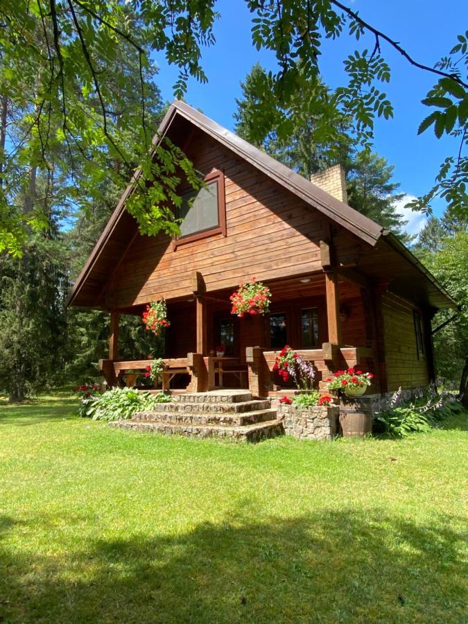 Rojaus Slenis Villa Druskininkai Bagian luar foto
