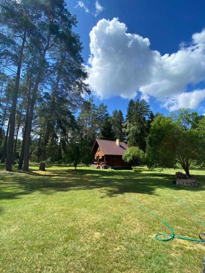 Rojaus Slenis Villa Druskininkai Bagian luar foto