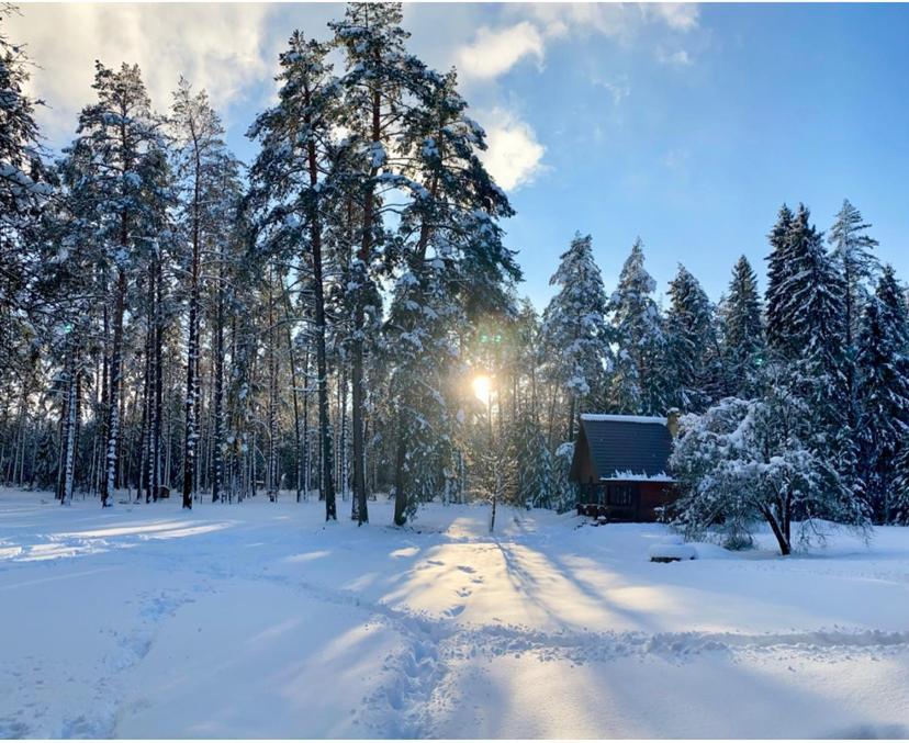 Rojaus Slenis Villa Druskininkai Bagian luar foto