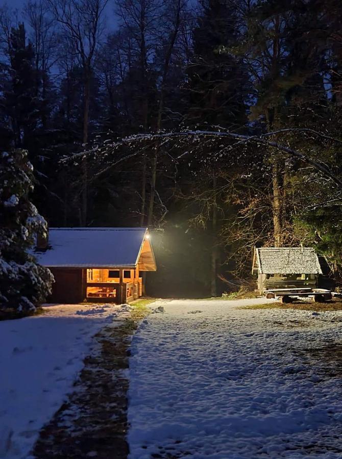 Rojaus Slenis Villa Druskininkai Bagian luar foto