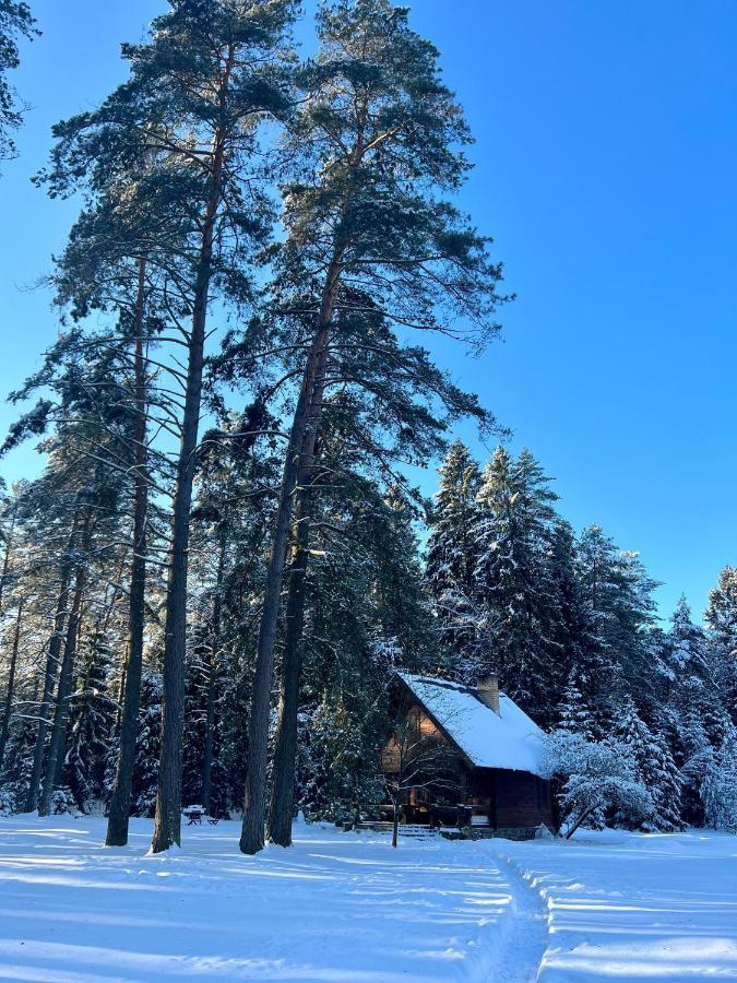 Rojaus Slenis Villa Druskininkai Bagian luar foto