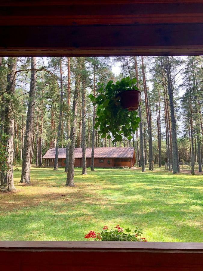 Rojaus Slenis Villa Druskininkai Bagian luar foto
