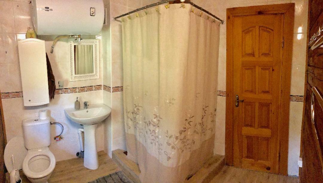 Rojaus Slenis Villa Druskininkai Bagian luar foto