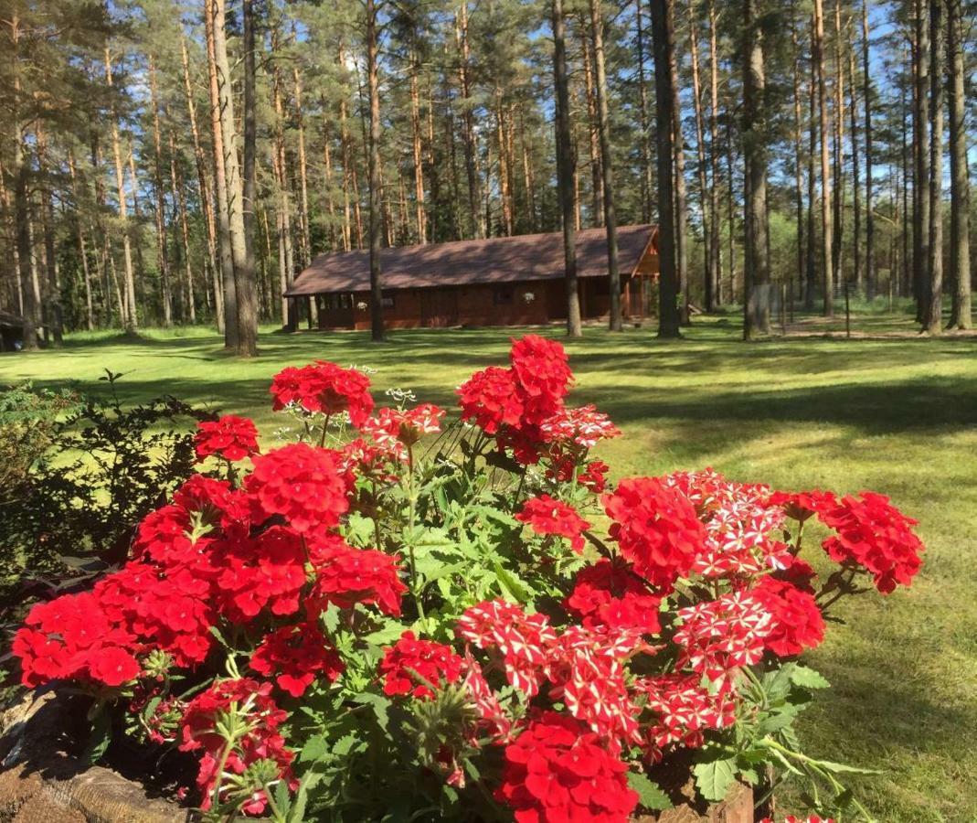 Rojaus Slenis Villa Druskininkai Bagian luar foto