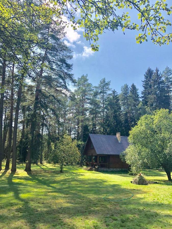 Rojaus Slenis Villa Druskininkai Bagian luar foto