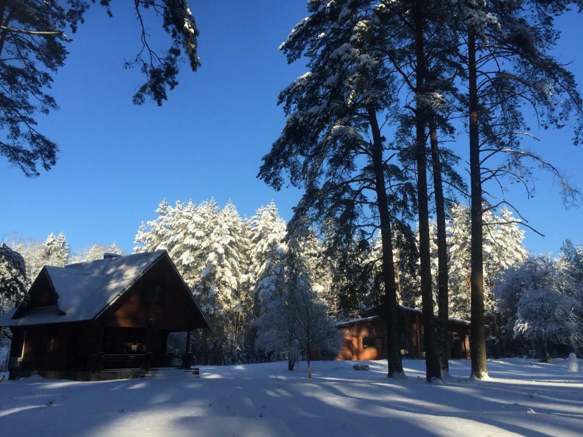 Rojaus Slenis Villa Druskininkai Bagian luar foto